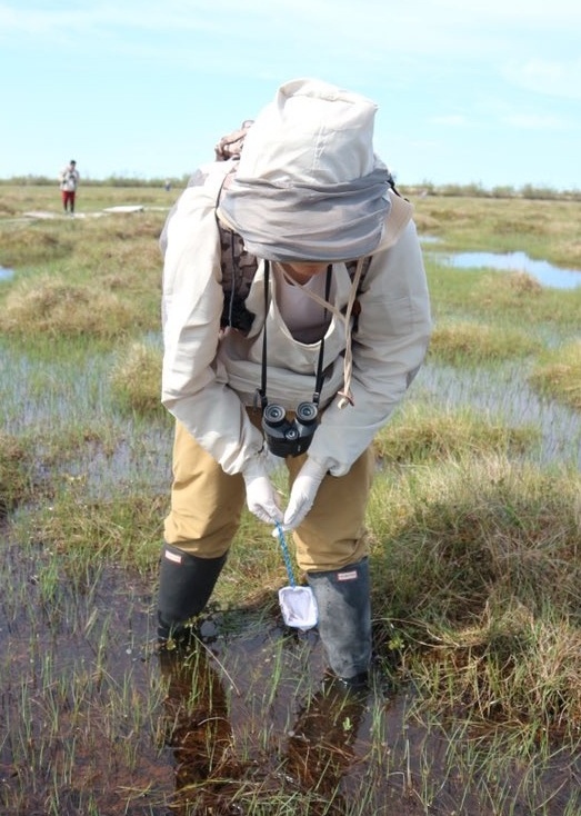 Student working in the field