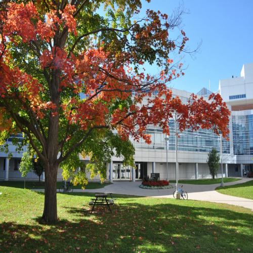 =Shows tree with Fall colours outside of the Summerlee Science Complex building