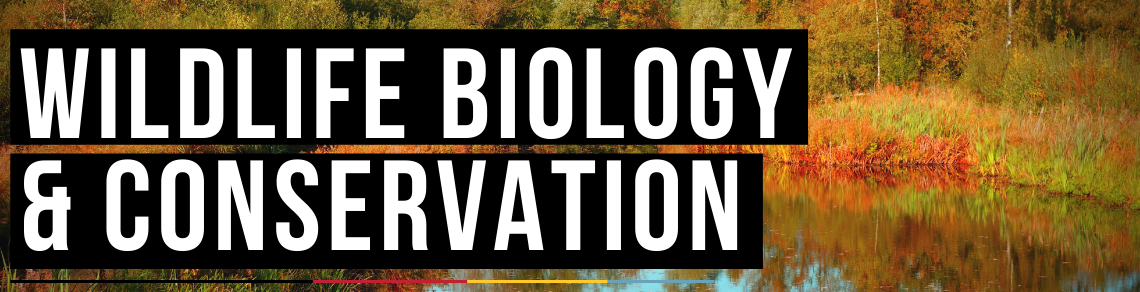 banner stating "wildlife biology and conservation"