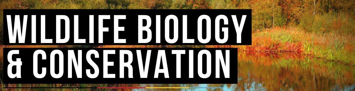 Wildlife Biology & Conservation | Bachelor of Science